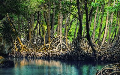 Los Haitises National Park