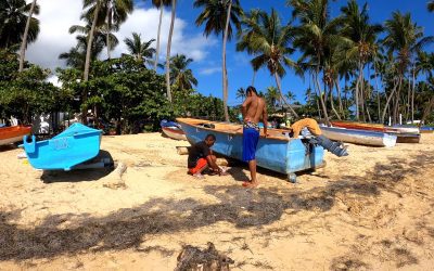 Playa Las Ballenas