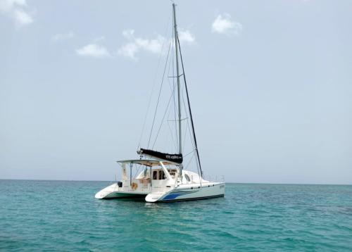 Boat 3: Catamaran